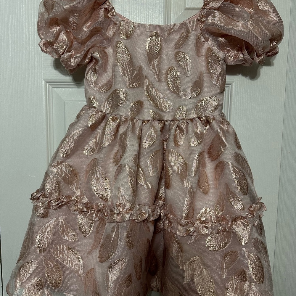 Rare Editions Blush Pink Dress with Leaf Motif